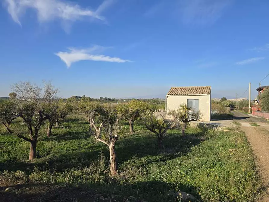 Immagine 16 di Terreno agricolo in vendita  in Via San Nicola 19 a Motta Sant'anastasia