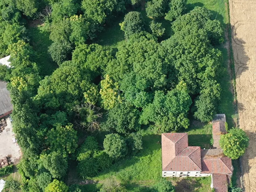 Immagine 35 di Villa in vendita  in Via Giotto 45 a Rovigo