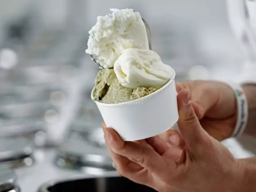 Immagine 1 di Gelateria in vendita  a Rovigo