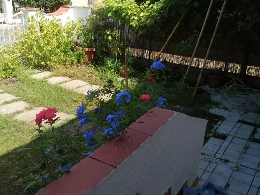 Immagine 13 di Terratetto in vendita  a Viareggio