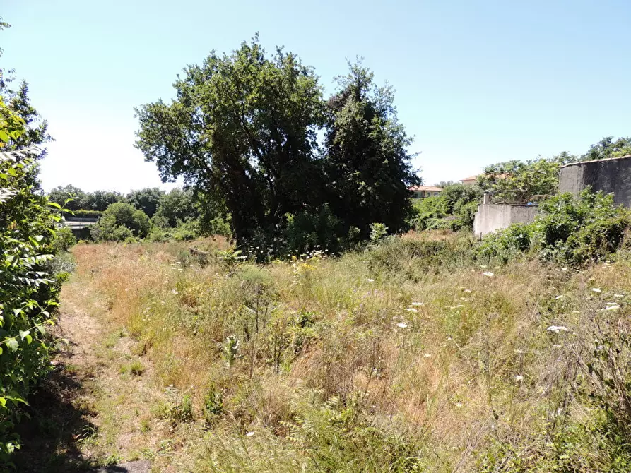 Immagine 3 di Terreno agricolo in affitto  in Via Annunziata 89 a Tremestieri Etneo