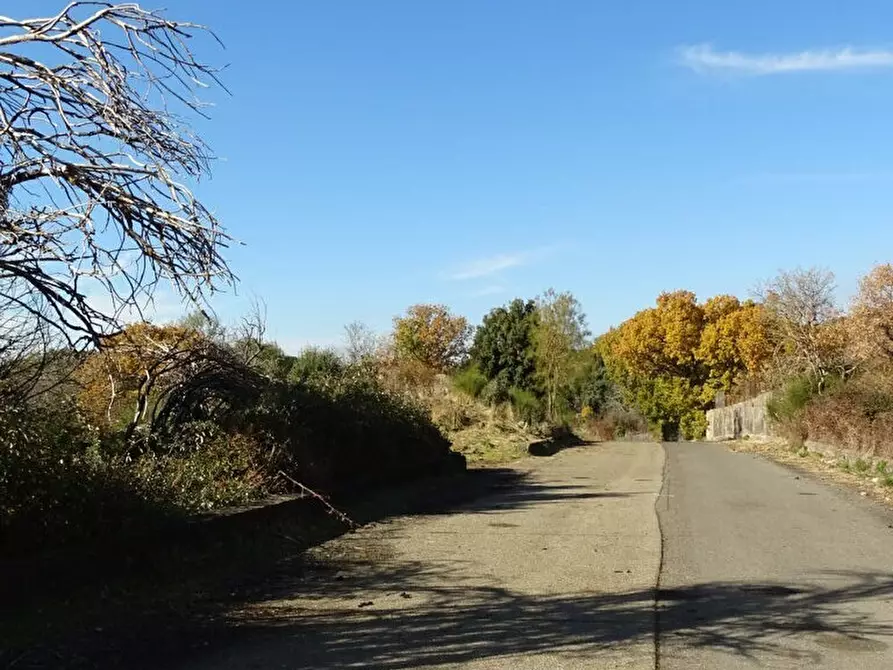Immagine 20 di Terreno agricolo in vendita  in SP158 a Biancavilla