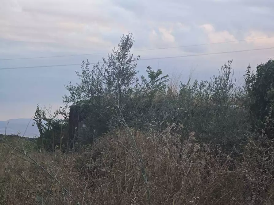 Immagine 13 di Terreno agricolo in vendita  in Via Risorgimento 31-33 a Camporotondo Etneo