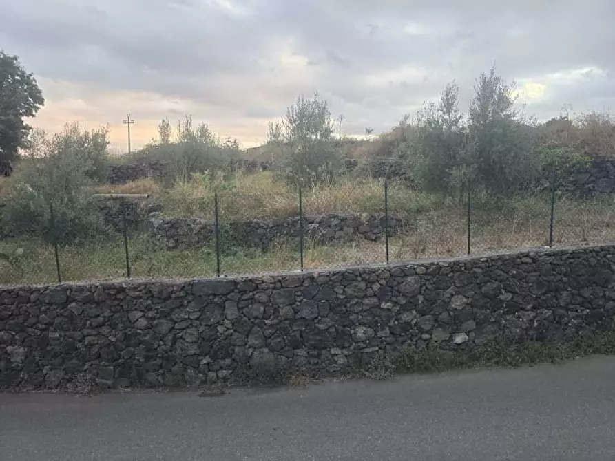 Immagine 10 di Terreno agricolo in vendita  in Via Risorgimento 31-33 a Camporotondo Etneo