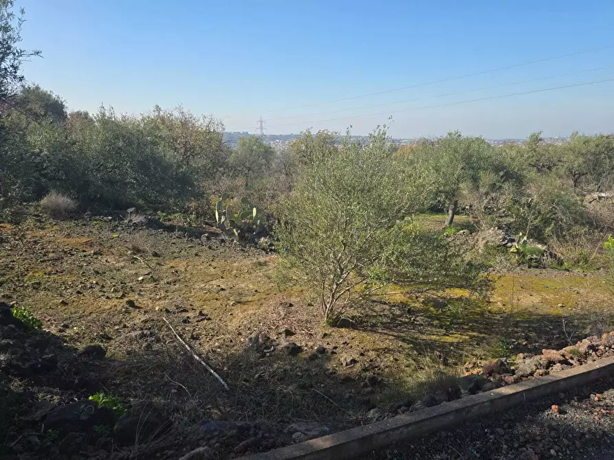 Immagine 23 di Terreno industriale in vendita  in Via Gran Bretagna a Camporotondo Etneo