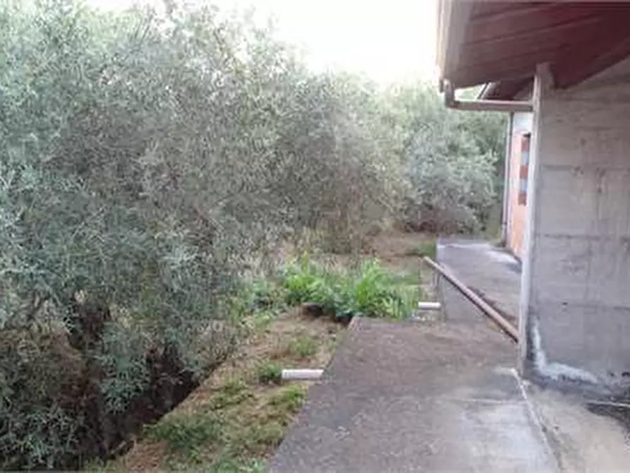 Immagine 9 di Terreno agricolo in vendita  in Vico Calvagna a Ragalna