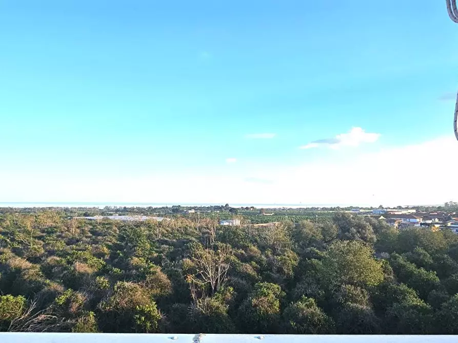 Immagine 17 di Mansarda in vendita  a Fiumefreddo Di Sicilia