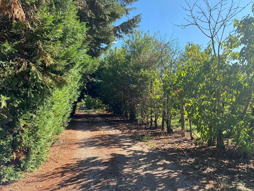 Immagine 11 di Rustico / casale in vendita  in VIA FOSSETTA OVEST 11 a Soliera