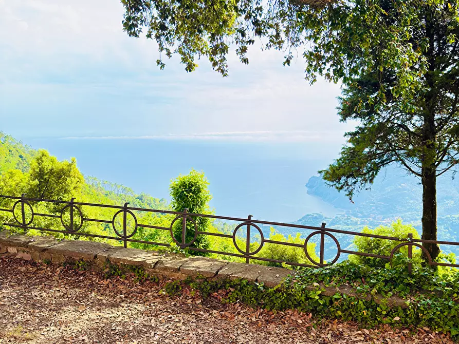 Immagine 11 di Quadrilocale in vendita  in Loc. Patellano a Monterosso Al Mare