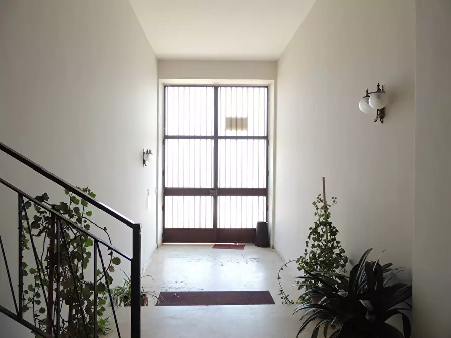 Immagine 53 di Attico in vendita  a Zafferana Etnea