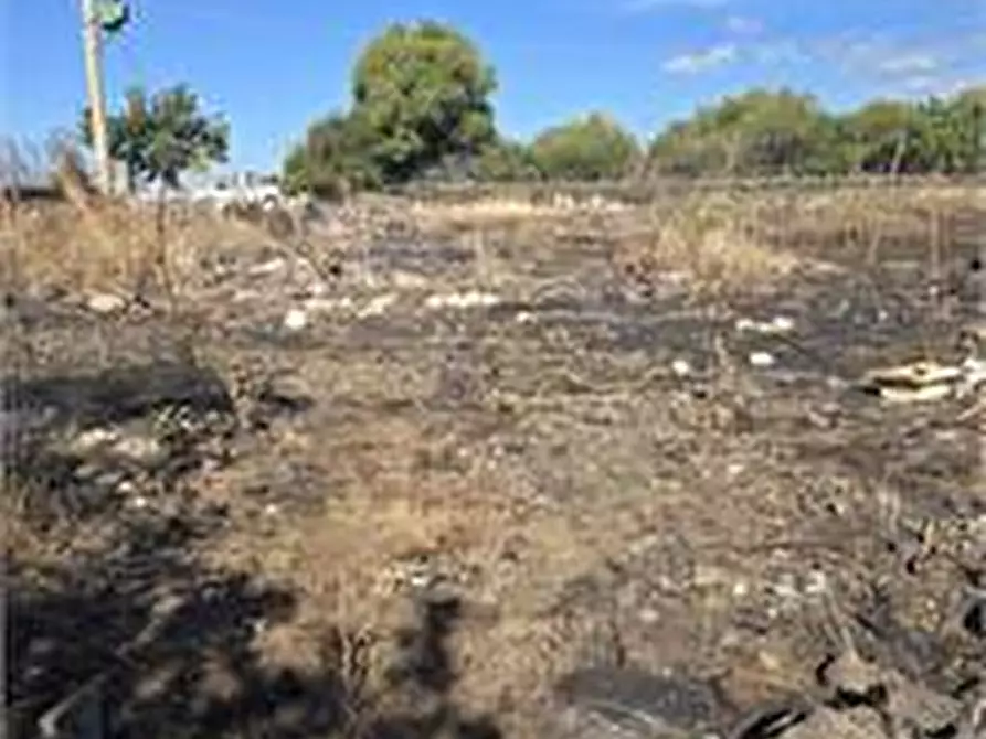 Immagine 3 di Terreno agricolo in vendita  in Contrada Guardia Ascino a Belpasso