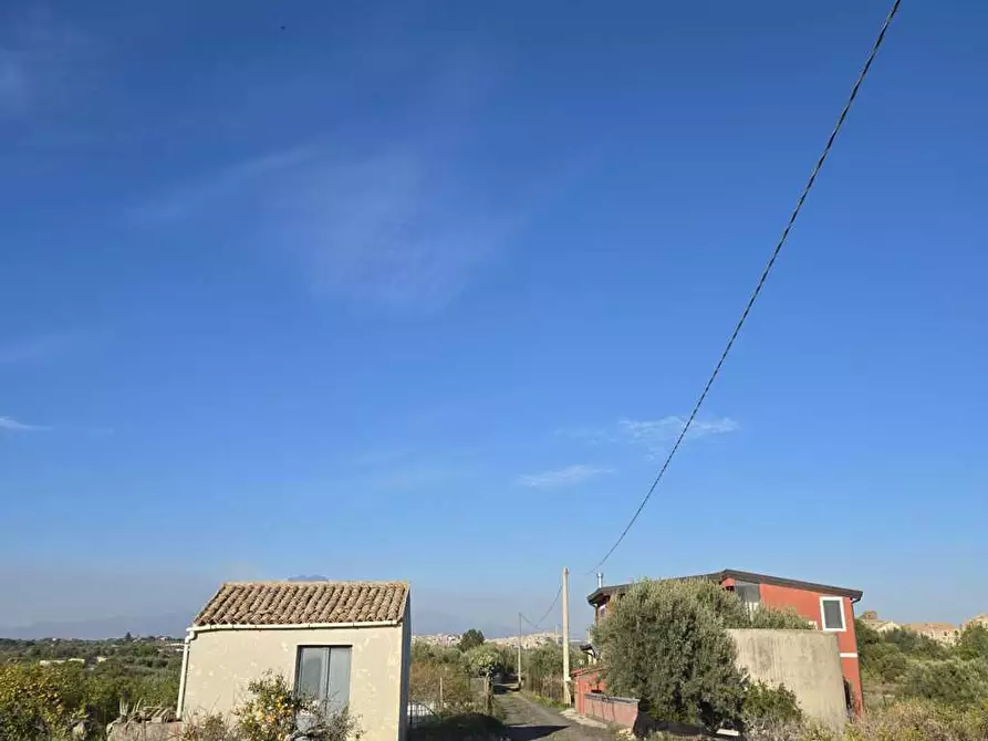 Immagine 1 di Terreno agricolo in vendita  in Via San Nicola 19 a Motta Sant'anastasia