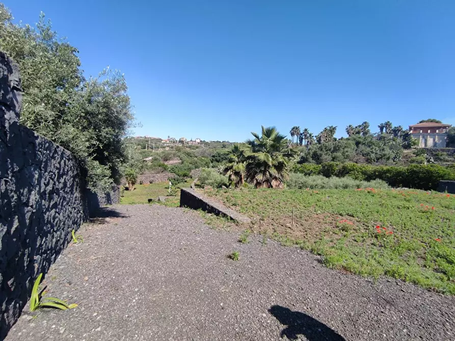 Immagine 7 di Terreno agricolo in vendita  a Misterbianco