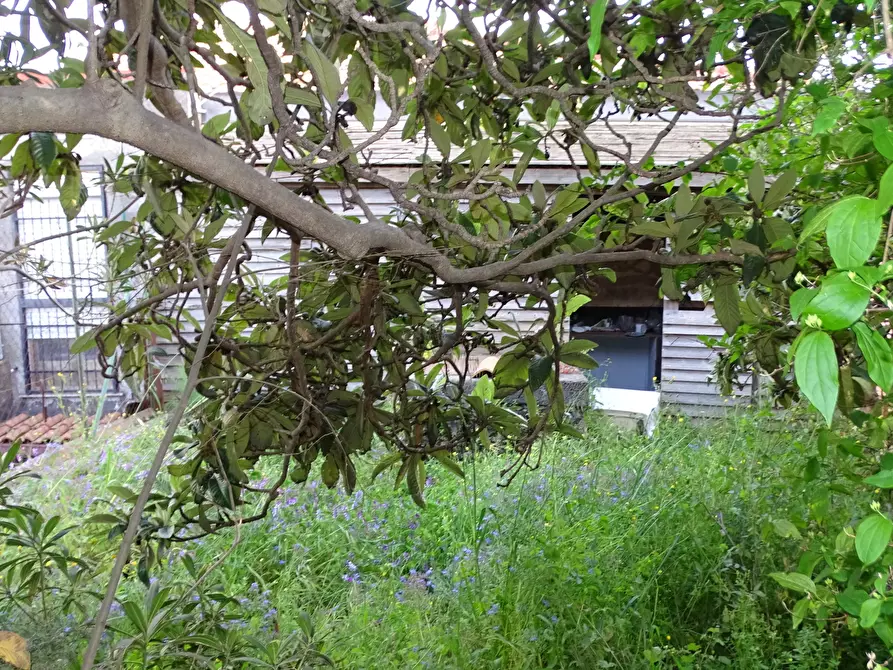 Immagine 23 di Casa indipendente in vendita  in Via Monte Grappa 7 a Belpasso