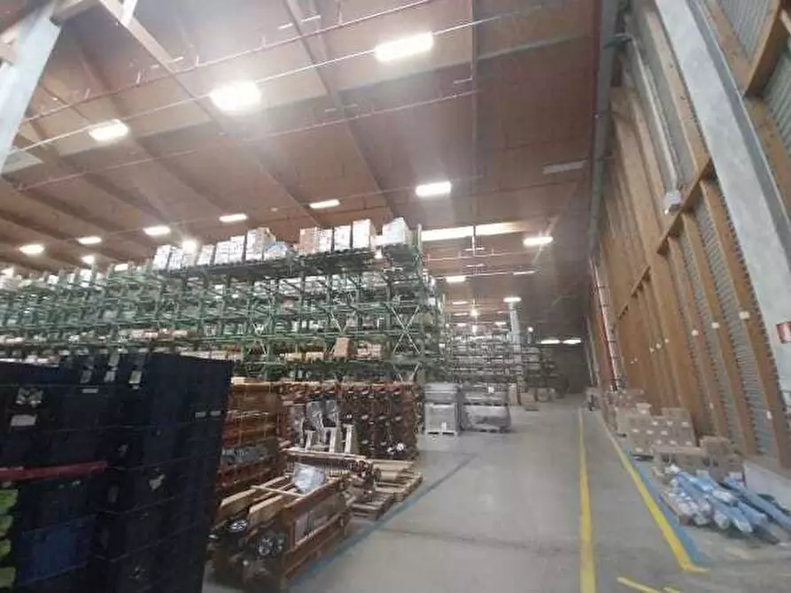 Immagine 7 di Attività artigianale in affitto  in via Martin Luther King 1/23 a Rolo