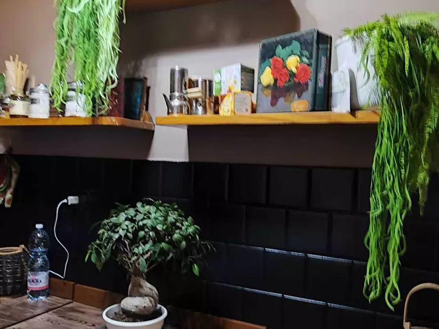 Immagine 8 di Villa in vendita  in Via Zeffiro Massa 344 a San Remo