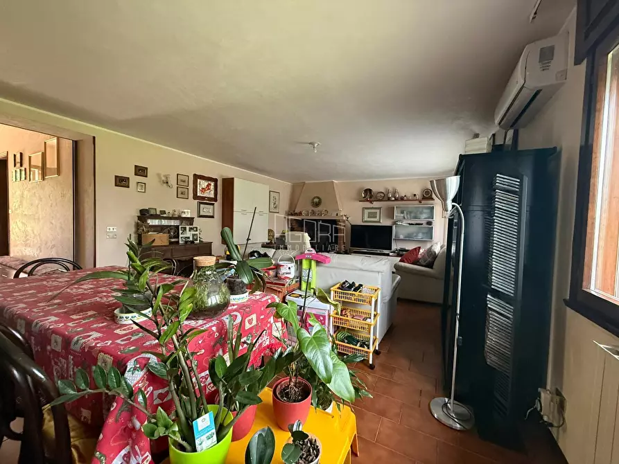 Immagine 8 di Casa indipendente in vendita  in Via Mascherine a Rovigo