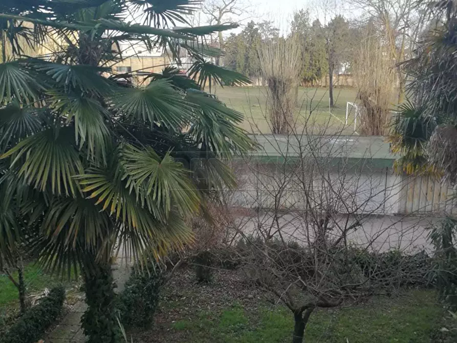 Immagine 8 di Ufficio in affitto  a Mirano