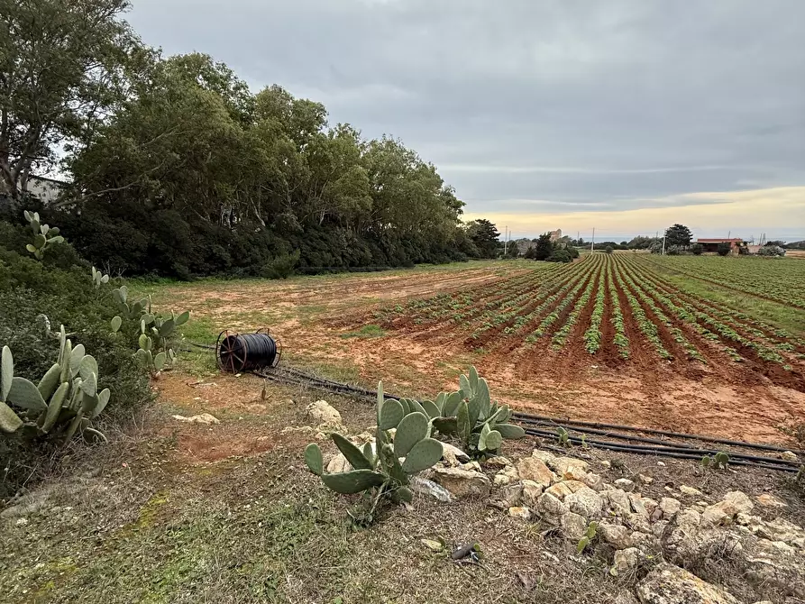 Immagine 10 di Casa indipendente in vendita  in SP286 102 a Nardo'