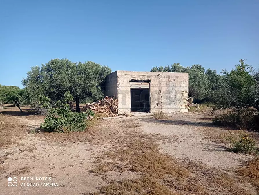 Immagine 32 di Villa in vendita  a Marsala