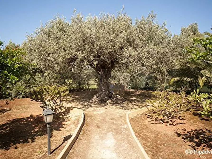 Immagine 108 di Villa in vendita  a Castelvetrano