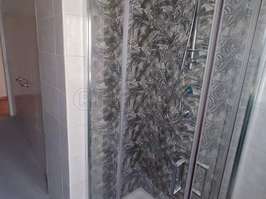 Immagine 6 di Trilocale in affitto  a San Nicola La Strada