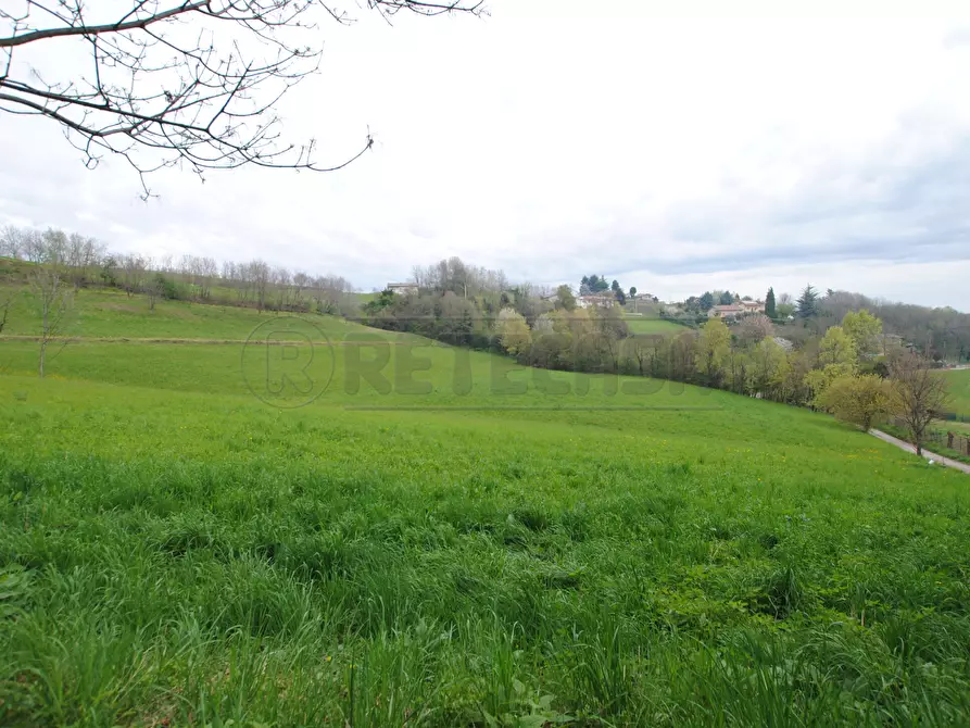 Immagine 4 di Terreno edificabile in vendita  in via rigon snc a Brogliano