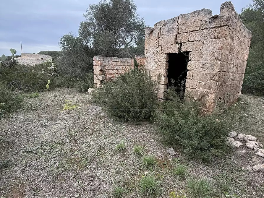 Immagine 20 di Casa indipendente in vendita  in SP286 102 a Nardo'