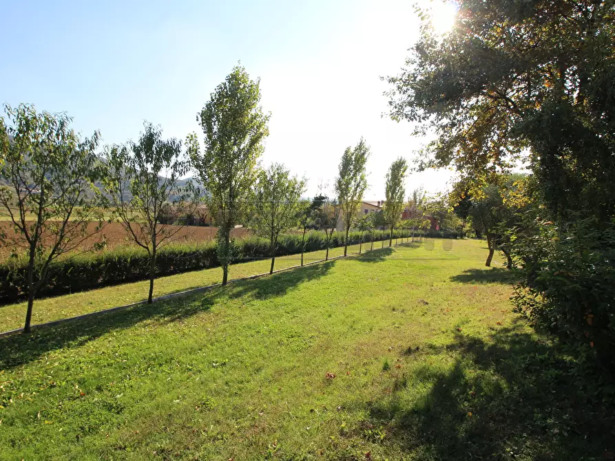 Immagine 30 di Agriturismo in vendita  a Brendola