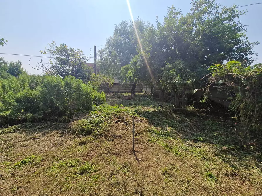 Immagine 22 di Rustico / casale in vendita  in Via Maggiore a Sesto Ed Uniti