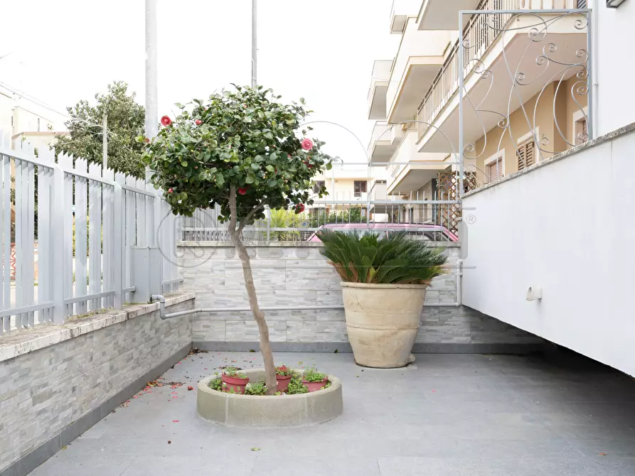 Immagine 44 di Appartamento in vendita  in Via Ignazio Falconieri 8 a Nardo'