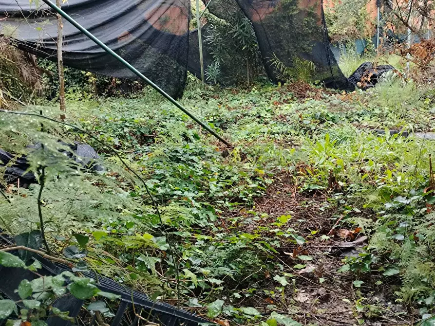 Immagine 6 di Terreno agricolo in vendita  in Vico del Maró 6 a Messina