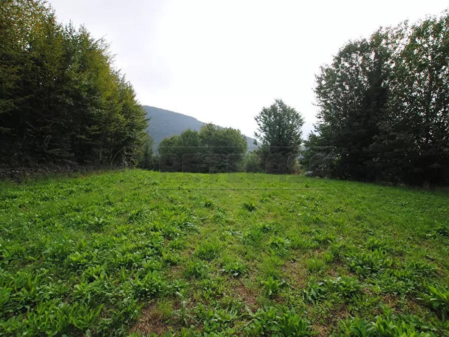 Immagine 3 di Terreno edificabile in vendita  in Via Tovi a Cornedo Vicentino