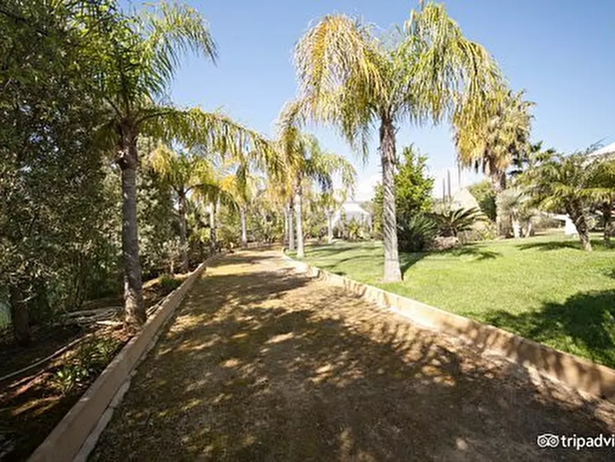 Immagine 100 di Villa in vendita  a Castelvetrano