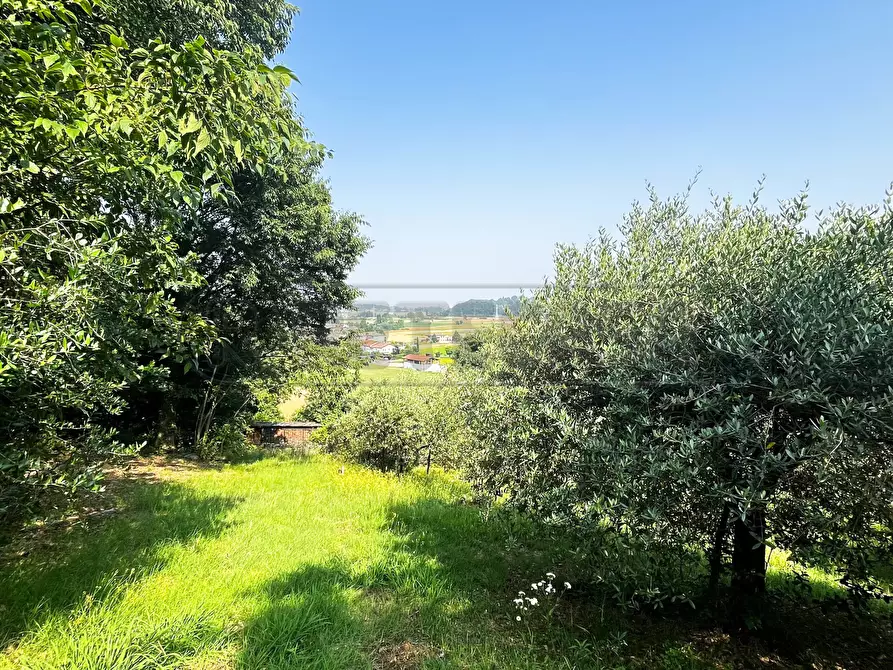 Immagine 10 di Terreno agricolo in vendita  in Via Bazziola a Monteviale