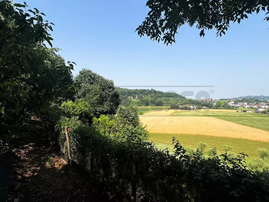 Immagine 14 di Terreno agricolo in vendita  in Via Bazziola a Monteviale
