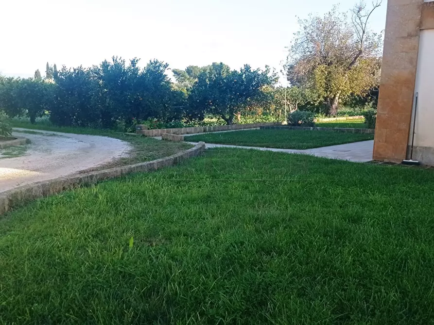 Immagine 4 di Villa in vendita  a Castelvetrano