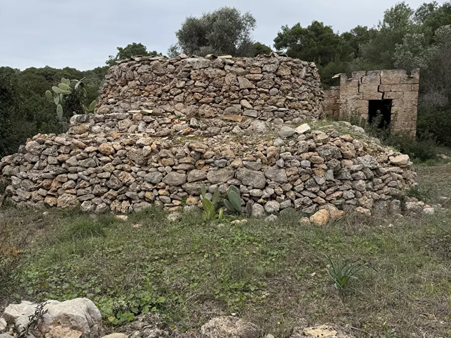 Immagine 3 di Casa indipendente in vendita  in SP286 102 a Nardo'