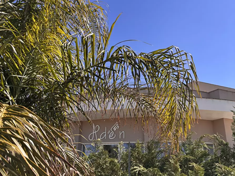 Immagine 9 di Pentalocale in vendita  in Via delle tessitrici 1 a Sannicola