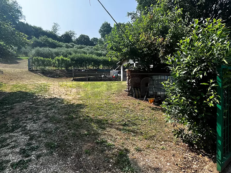 Immagine 11 di Terreno agricolo in vendita  in Via Bazziola a Monteviale