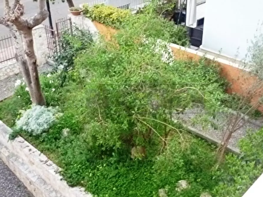 Immagine 30 di Casa indipendente in vendita  in VIA DE GASPERI 33 a Sannicola