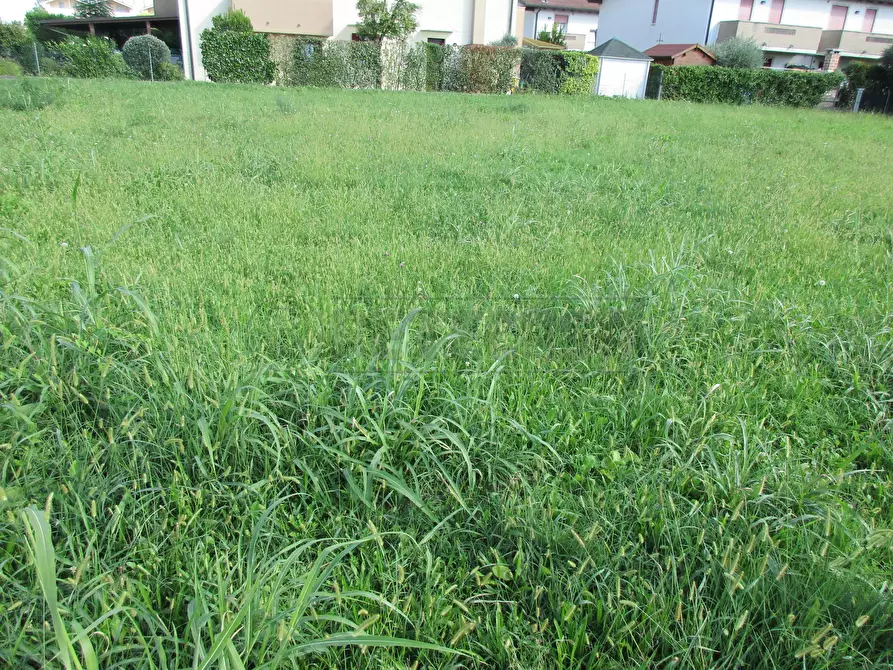 Immagine 2 di Terreno edificabile in vendita  a Villanova Di Camposampiero