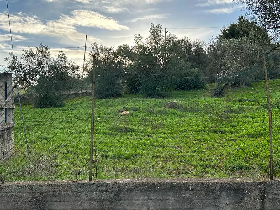 Immagine 8 di Terreno agricolo in vendita  in Via dei Gelsi di Niscima 1 a Caltanissetta
