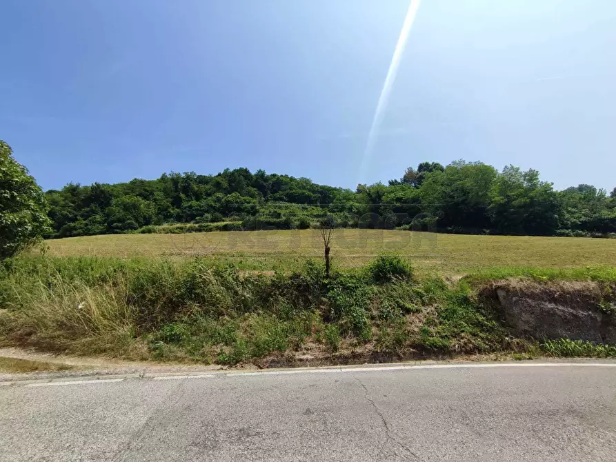 Immagine 10 di Terreno agricolo in vendita  in Via Sgaggeri 4 a Chiampo