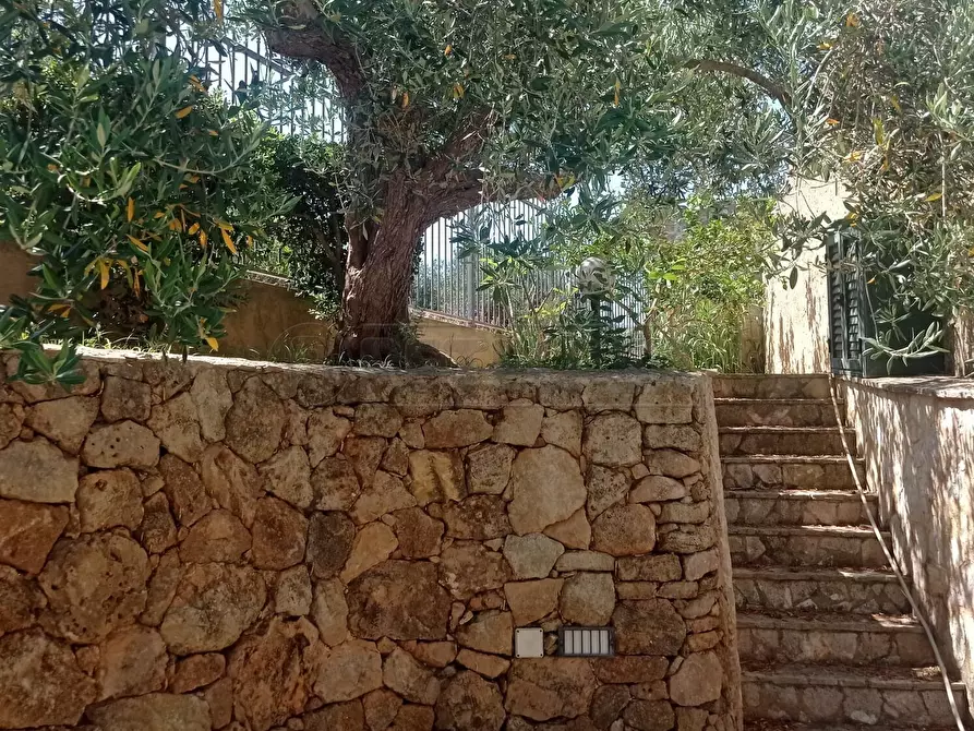 Immagine 17 di Palazzo in vendita  a Marsala