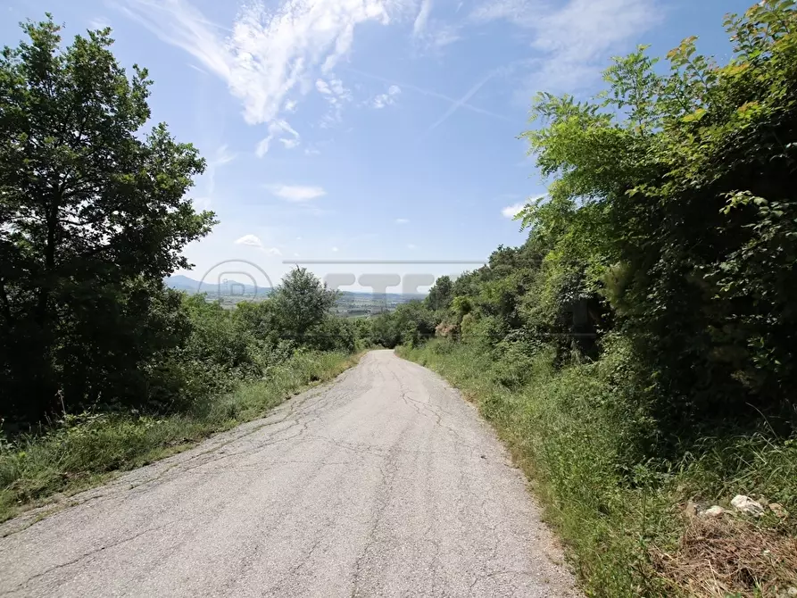 Immagine 15 di Terreno agricolo in vendita  in Via Castellaro a Castegnero