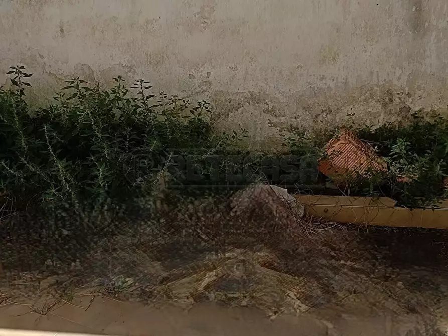 Immagine 15 di Casa indipendente in vendita  in Via Domenico Battisti 18 a Scorrano