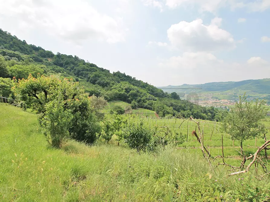 Immagine 29 di Rustico / casale in vendita  in Via Danesi di Sopra 50 a Montecchia Di Crosara