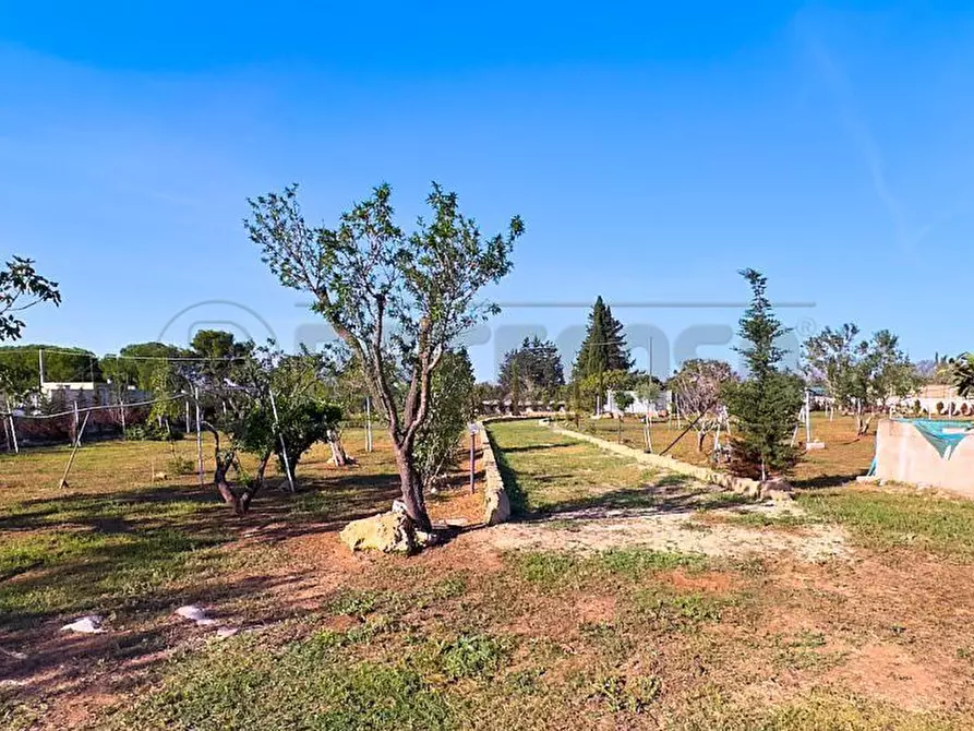 Immagine 9 di Terreno agricolo in vendita  in Via Stefano Catalano 5 a Gallipoli