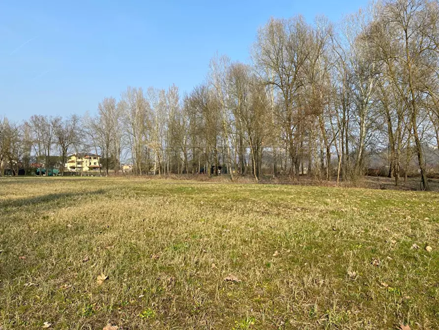 Immagine 6 di Terreno agricolo in vendita  a Arcugnano
